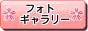 フォトギャラリー